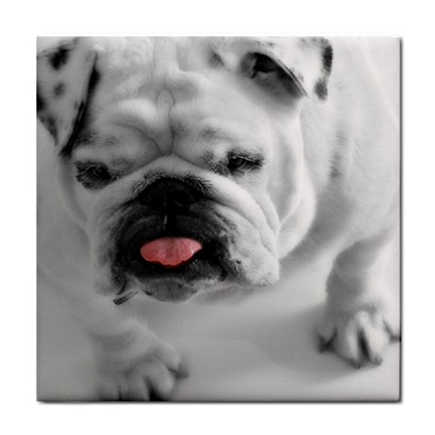 White Bulldog Tile Coaster from ArtsNow.com Front