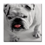 White Bulldog Tile Coaster