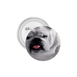 White Bulldog 1.75  Button
