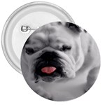 White Bulldog 3  Button