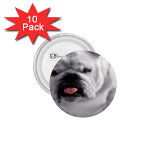 White Bulldog 1.75  Button (10 pack)  from ArtsNow.com Front