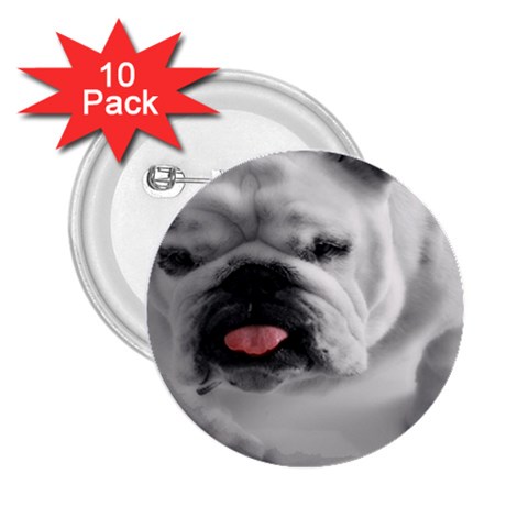 White Bulldog 2.25  Button (10 pack) from ArtsNow.com Front