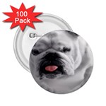 White Bulldog 2.25  Button (100 pack)