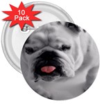 White Bulldog 3  Button (10 pack)