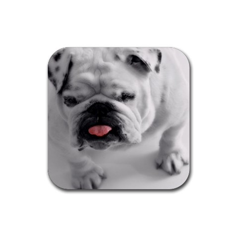 White Bulldog Rubber Coaster (Square) from ArtsNow.com Front