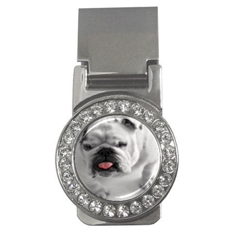 White Bulldog Money Clip (CZ) from ArtsNow.com Front