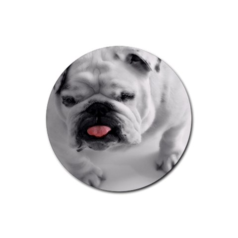 White Bulldog Rubber Round Coaster (4 pack) from ArtsNow.com Front
