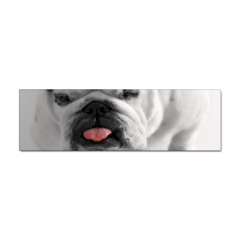 White Bulldog Sticker (Bumper) from ArtsNow.com Front