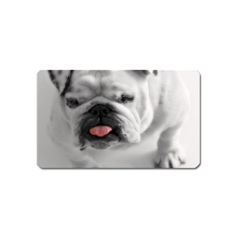 White Bulldog Magnet (Name Card) from ArtsNow.com Front
