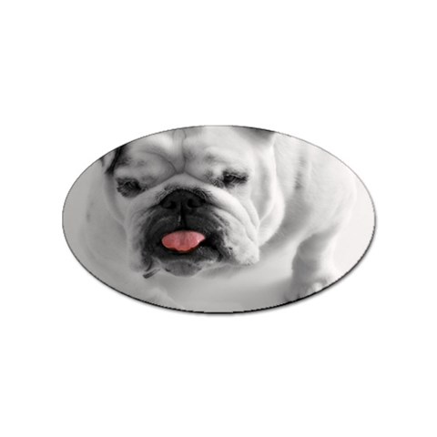 White Bulldog Sticker Oval (10 pack) from ArtsNow.com Front