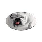 White Bulldog Sticker Oval (100 pack)