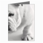 White Bulldog Greeting Card