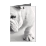 White Bulldog Mini Greeting Card