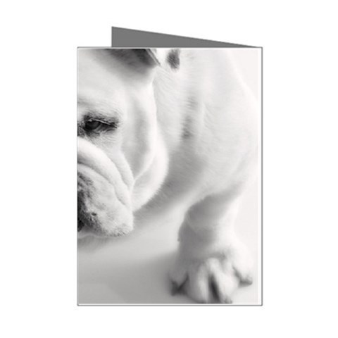 White Bulldog Mini Greeting Cards (Pkg of 8) from ArtsNow.com Left