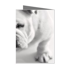White Bulldog Mini Greeting Cards (Pkg of 8) from ArtsNow.com Left
