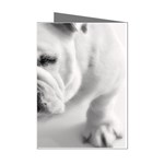 White Bulldog Mini Greeting Cards (Pkg of 8)