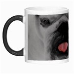 White Bulldog Morph Mug