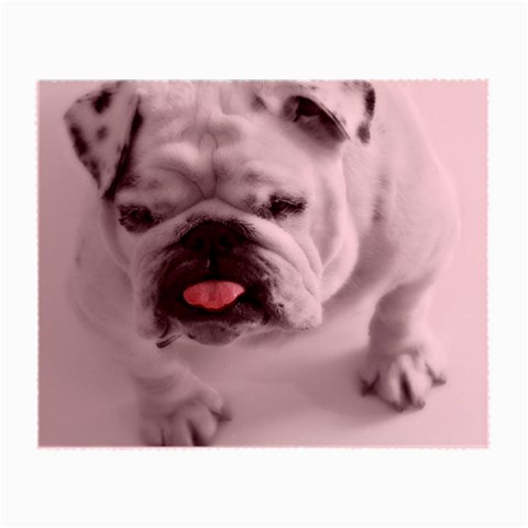 White Bulldog Small Glasses Cloth from ArtsNow.com Front