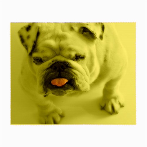 White Bulldog Small Glasses Cloth from ArtsNow.com Front