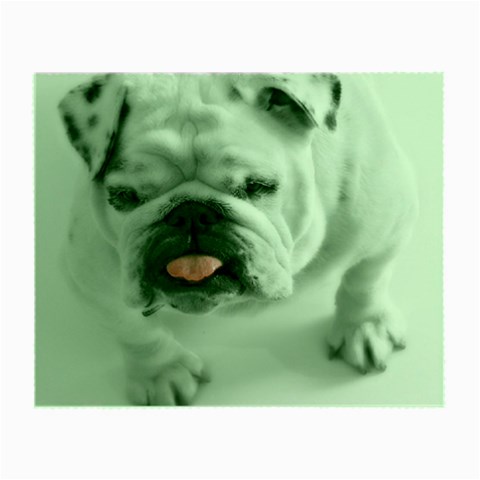 White Bulldog Small Glasses Cloth from ArtsNow.com Front