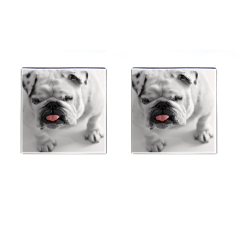White Bulldog Cufflinks (Square) from ArtsNow.com Front(Pair)