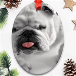 White Bulldog Oval Ornament (Two Sides)