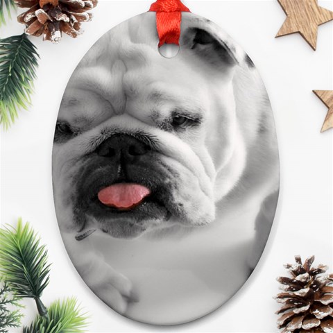White Bulldog Oval Ornament (Two Sides) from ArtsNow.com Back