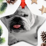 White Bulldog Star Ornament (Two Sides)