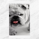 White Bulldog Canvas 40  x 72 