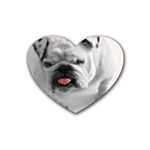 White Bulldog Rubber Coaster (Heart)