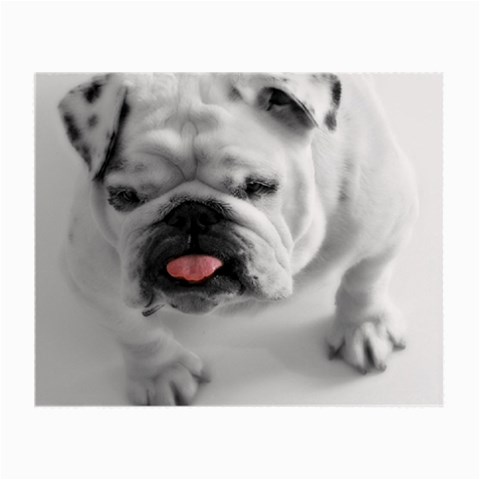 White Bulldog Small Glasses Cloth (2 Sides) from ArtsNow.com Front