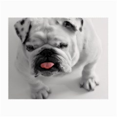 White Bulldog Small Glasses Cloth (2 Sides) from ArtsNow.com Back