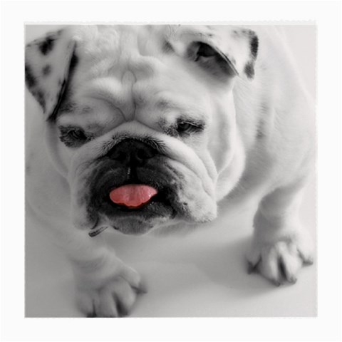 White Bulldog Medium Glasses Cloth (2 Sides) from ArtsNow.com Front