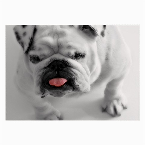White Bulldog Large Glasses Cloth (2 Sides) from ArtsNow.com Front