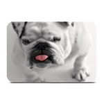 White Bulldog Plate Mat