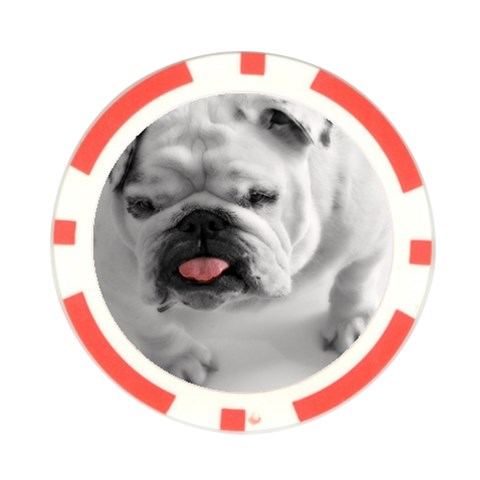 White Bulldog Poker Chip Card Guard from ArtsNow.com Front