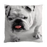 White Bulldog Standard Cushion Case (Two Sides)