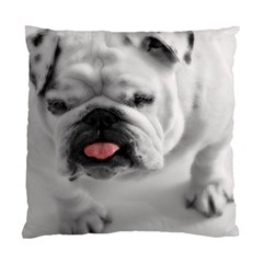 White Bulldog Standard Cushion Case (Two Sides) from ArtsNow.com Back