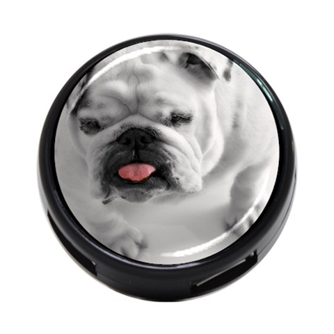 White Bulldog 4 Front