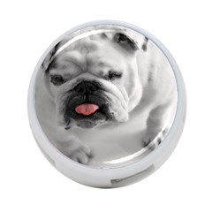 White Bulldog 4 Back