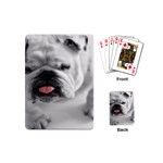 White Bulldog Playing Cards (Mini)