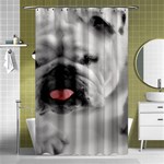 White Bulldog Shower Curtain 48  x 72  (Small)