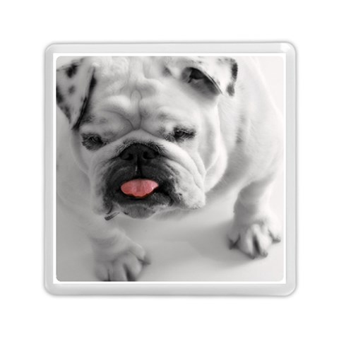White Bulldog Memory Card Reader (Square) from ArtsNow.com Front