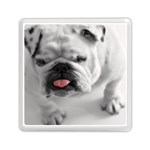 White Bulldog Memory Card Reader (Square)