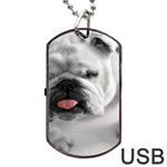 White Bulldog Dog Tag USB Flash (Two Sides)
