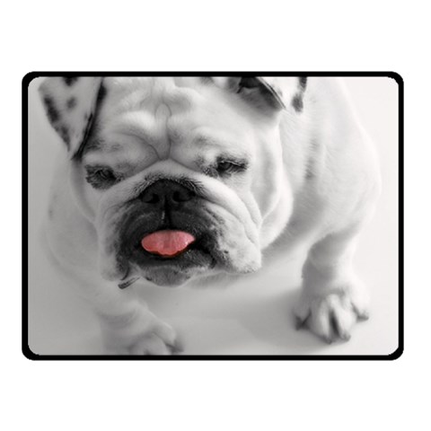 White Bulldog Double Sided Fleece Blanket (Small) from ArtsNow.com 45 x34  Blanket Front
