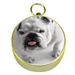 White Bulldog Gold Compass