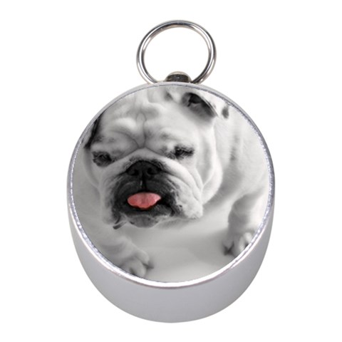 White Bulldog Silver Compass (Mini) from ArtsNow.com Front