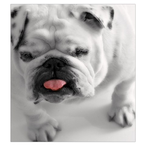 White Bulldog Drawstring Pouch (Large) from ArtsNow.com Front