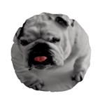 White Bulldog Standard 15  Premium Flano Round Cushion 